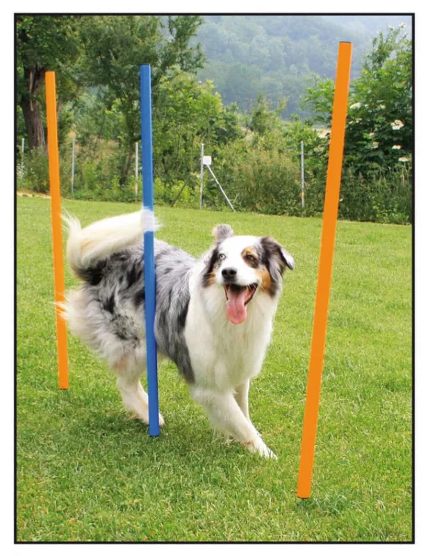 swisspet Agility Slalom Set